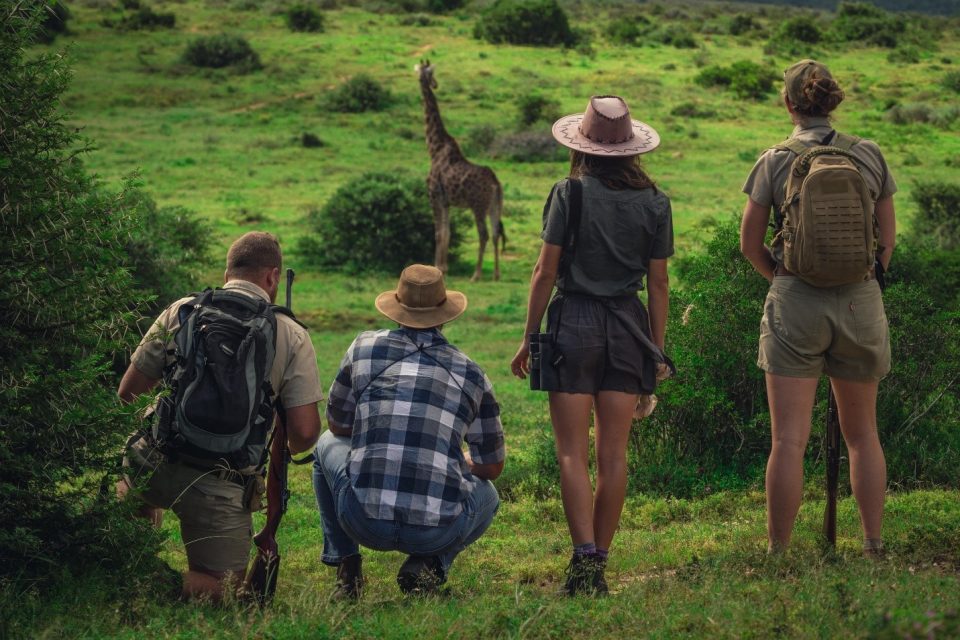 SHAMWARI PRIVATE GAME RESERVE, SOUTH AFRICA: WHERE LUXURY MEETS THE WILD