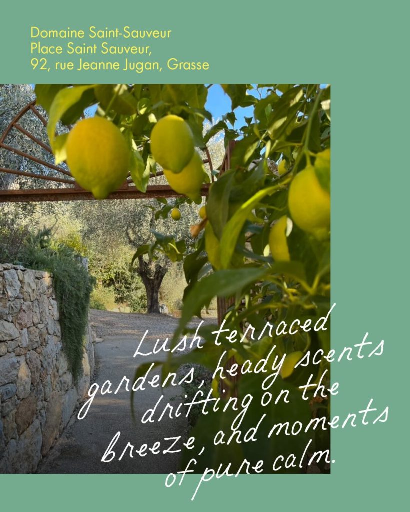 Louis Vuitton’s Grasse City Guide: A Sensory Journey Through Perfume’s Sacred Ground