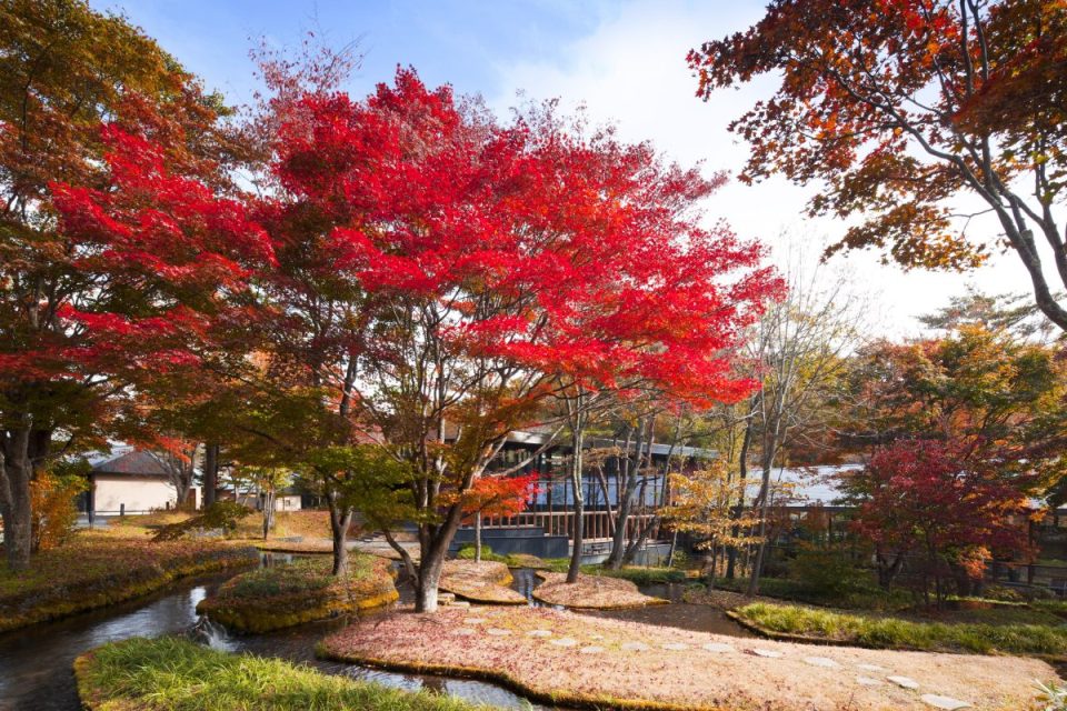 HOSHINOYA KARUIZAWA WELCOMES AUTUMN WITH FIVE IMMERSIVE SEASONAL EXPERIENCES