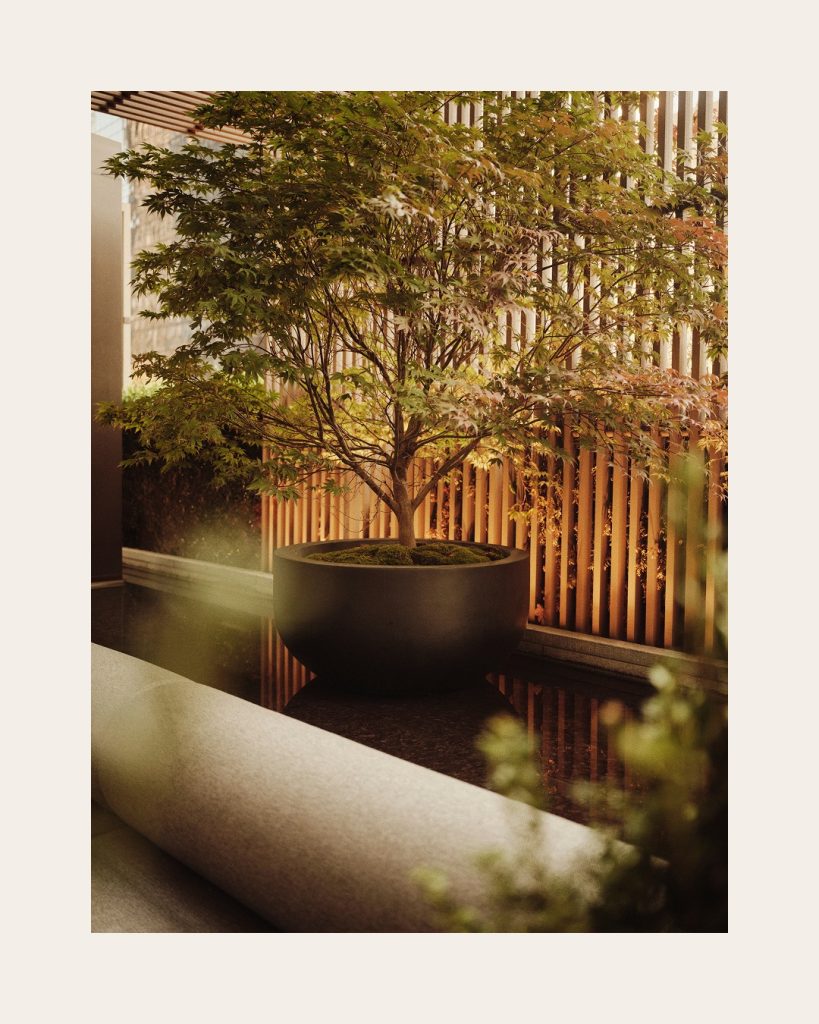 Reflective lounge area with warm autumn light illuminating the hotel's sophisticated interior design