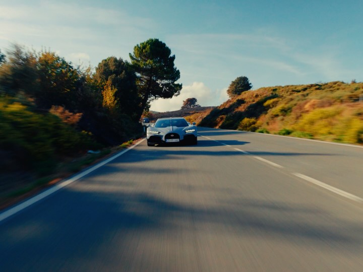 Historic Bugatti motorcars assembled showcasing the brand's automotive heritage