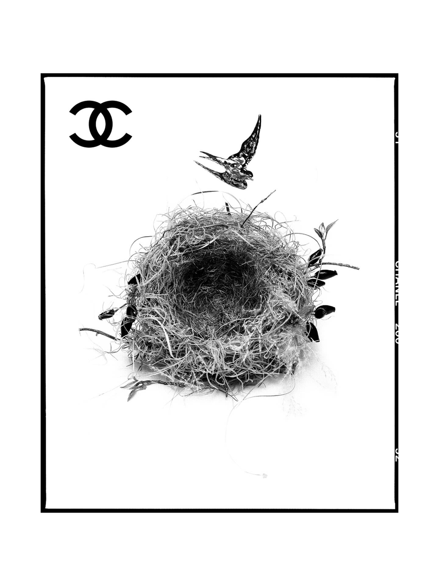 Matthieu Blazy's Spring Summer 2027 collection for Chanel, photographed by David Bailey