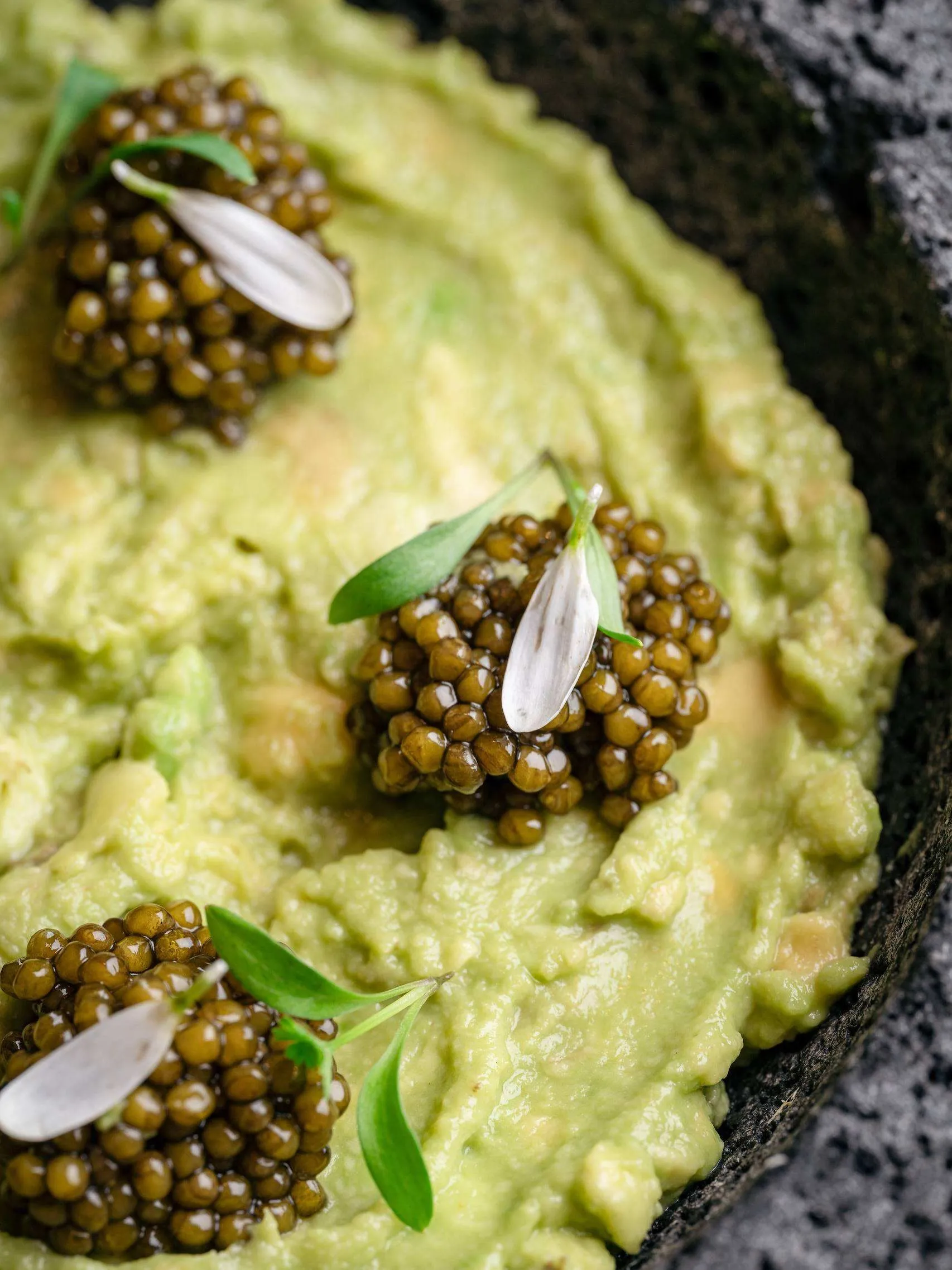 Overhead view of a shared guacamole dish with caviar garnish, elegantly presented at COYA Monte Carlo