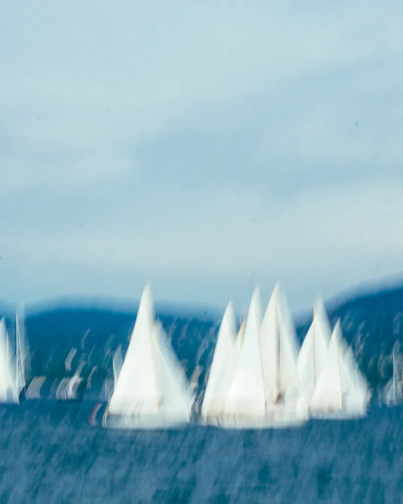 Evening gathering of competitive sailing vessels at Saint-Tropez