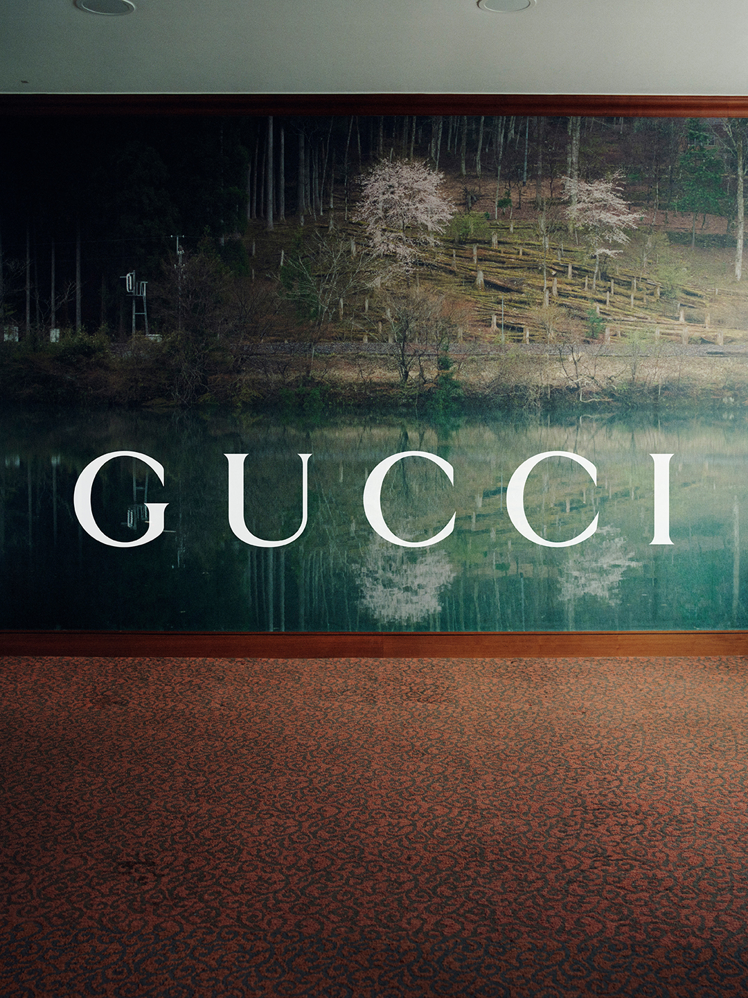 Close-up detail of Gucci Primavera collection styling and textile in Michal Chelbin portrait series
