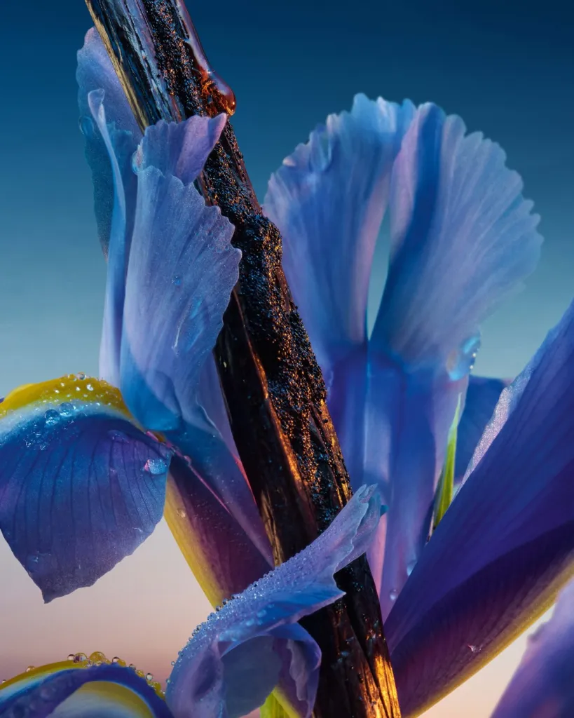 Close detail of L'Heure Bleue Exceptional Creation showing the refined iris-focused composition and luxury presentation
