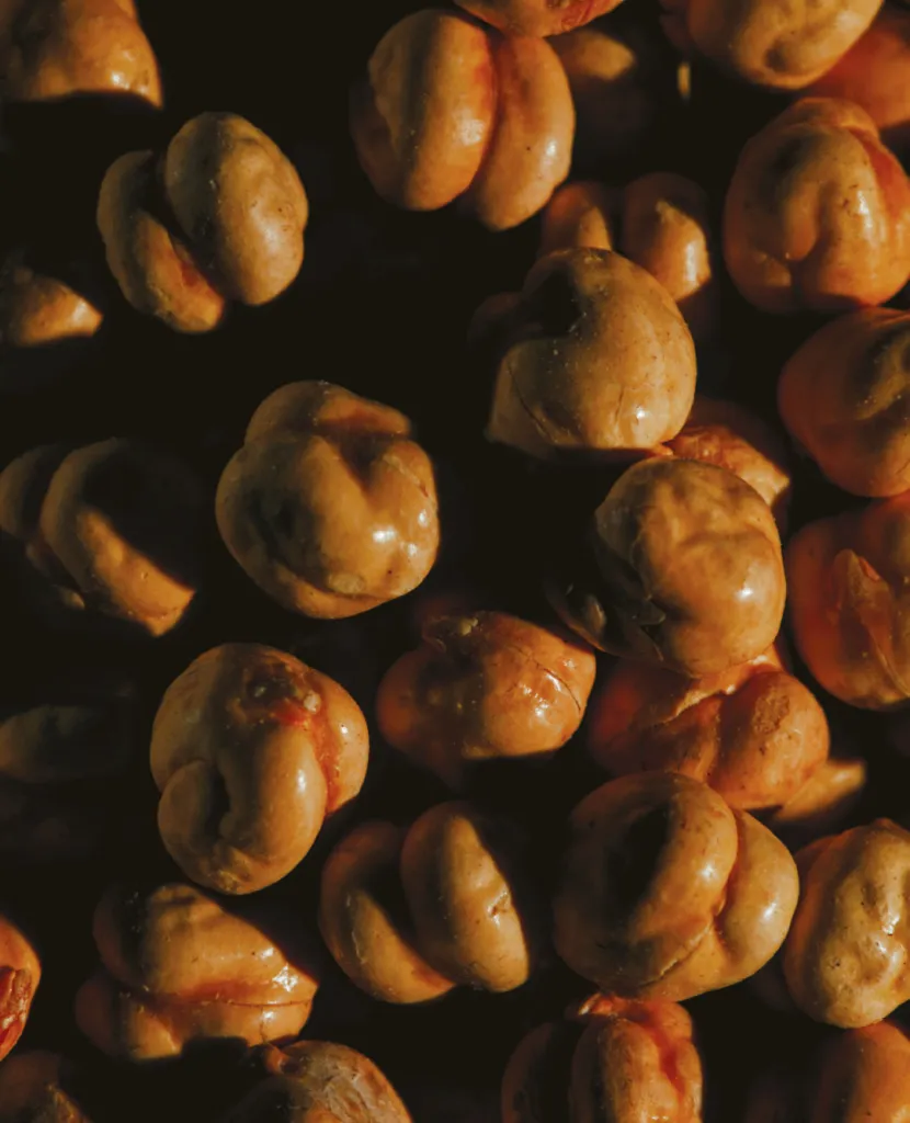 Close detail of premium pastry and confectionery craftsmanship reflecting regional culinary traditions