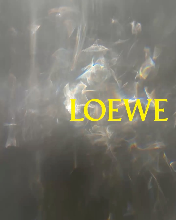 Detailed view of Loewe Spring Summer 2027 garment highlighting expert craftsmanship and precise silhouette