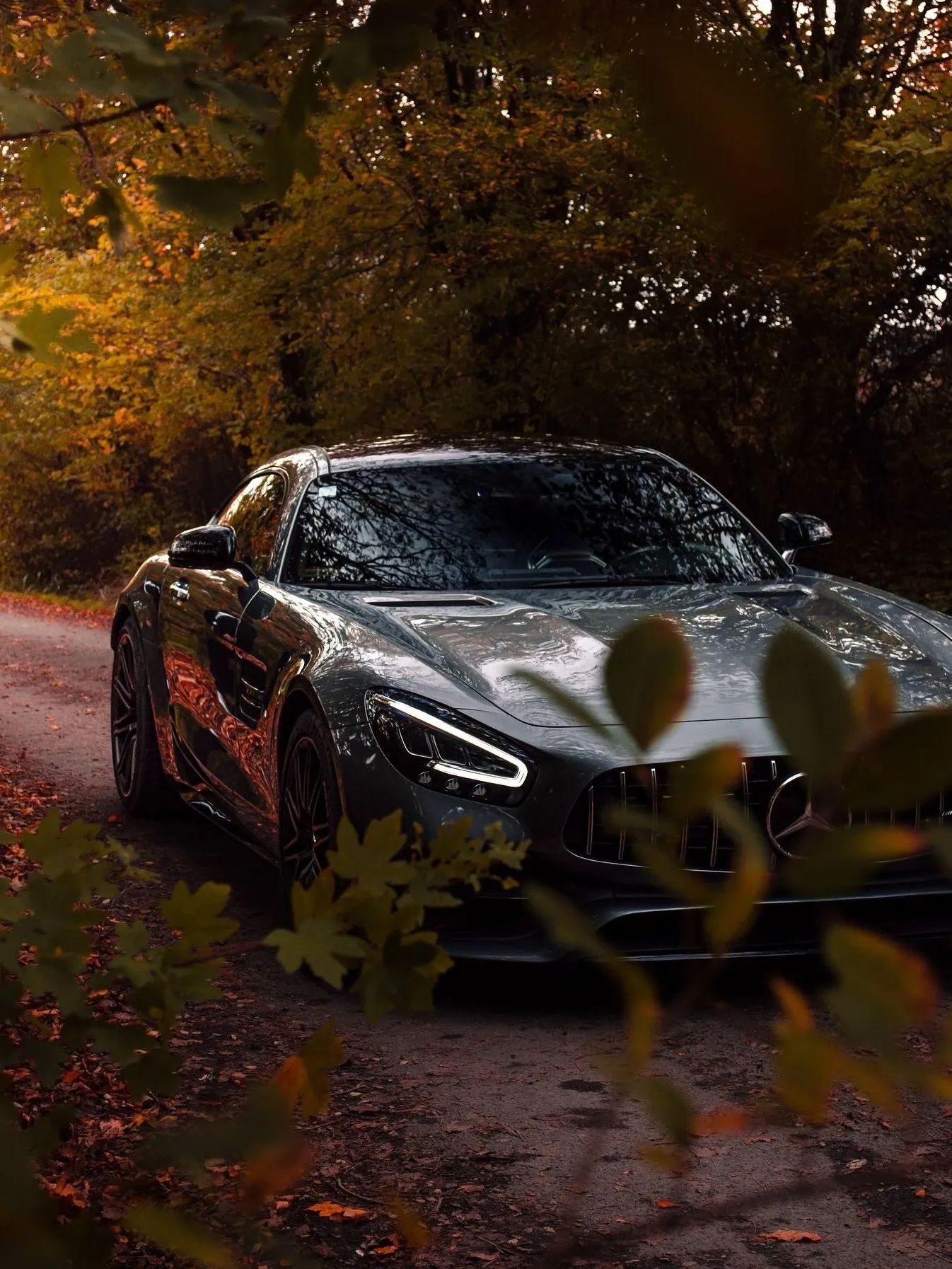 Mercedes-AMG performance vehicle set against autumn landscape backdrop