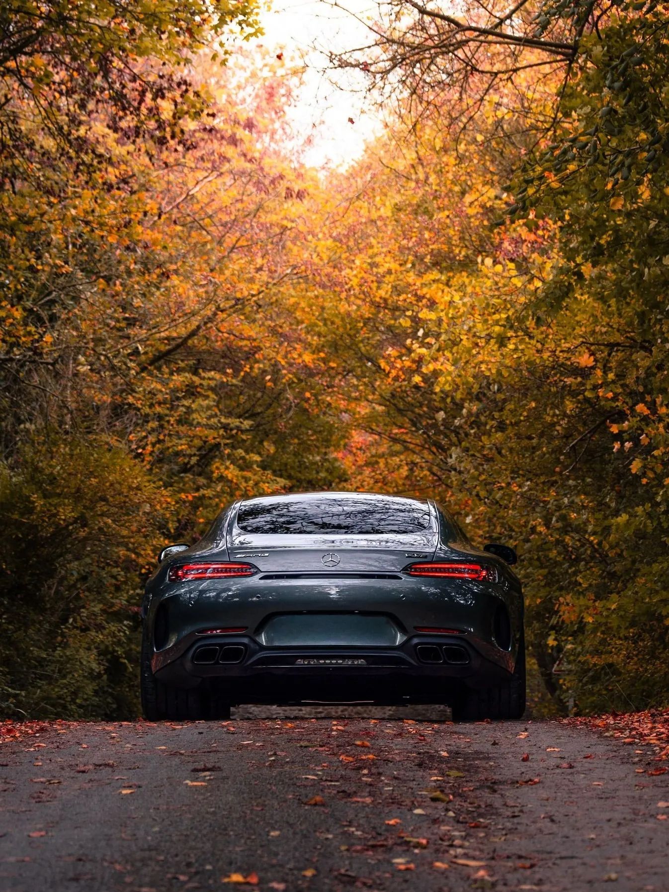 Mercedes-AMG sedan navigating tree-lined country road during golden hour