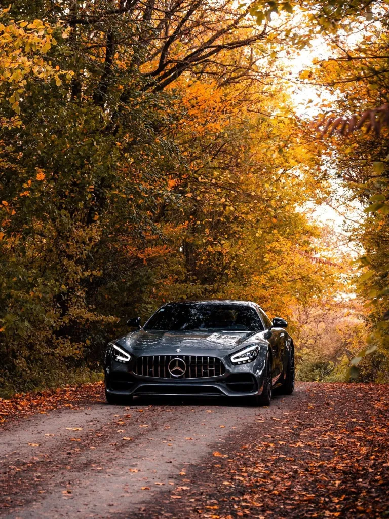 Mercedes-AMG vehicle in motion on open road surrounded by autumn foliage