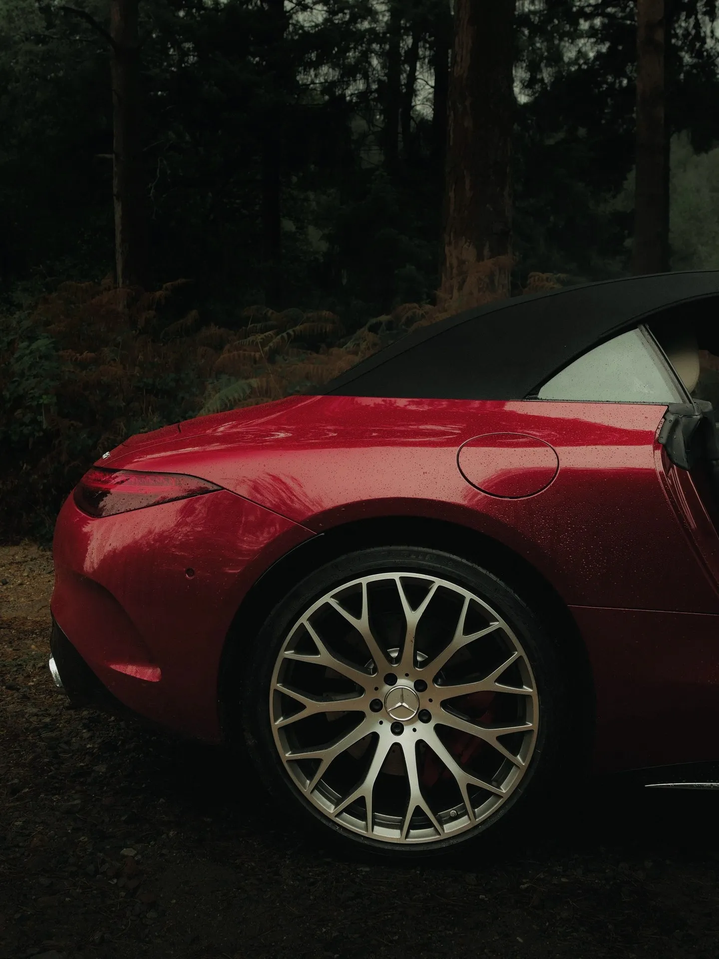 Mercedes-AMG SL 55 4MATIC+ convertible roadster in autumn setting