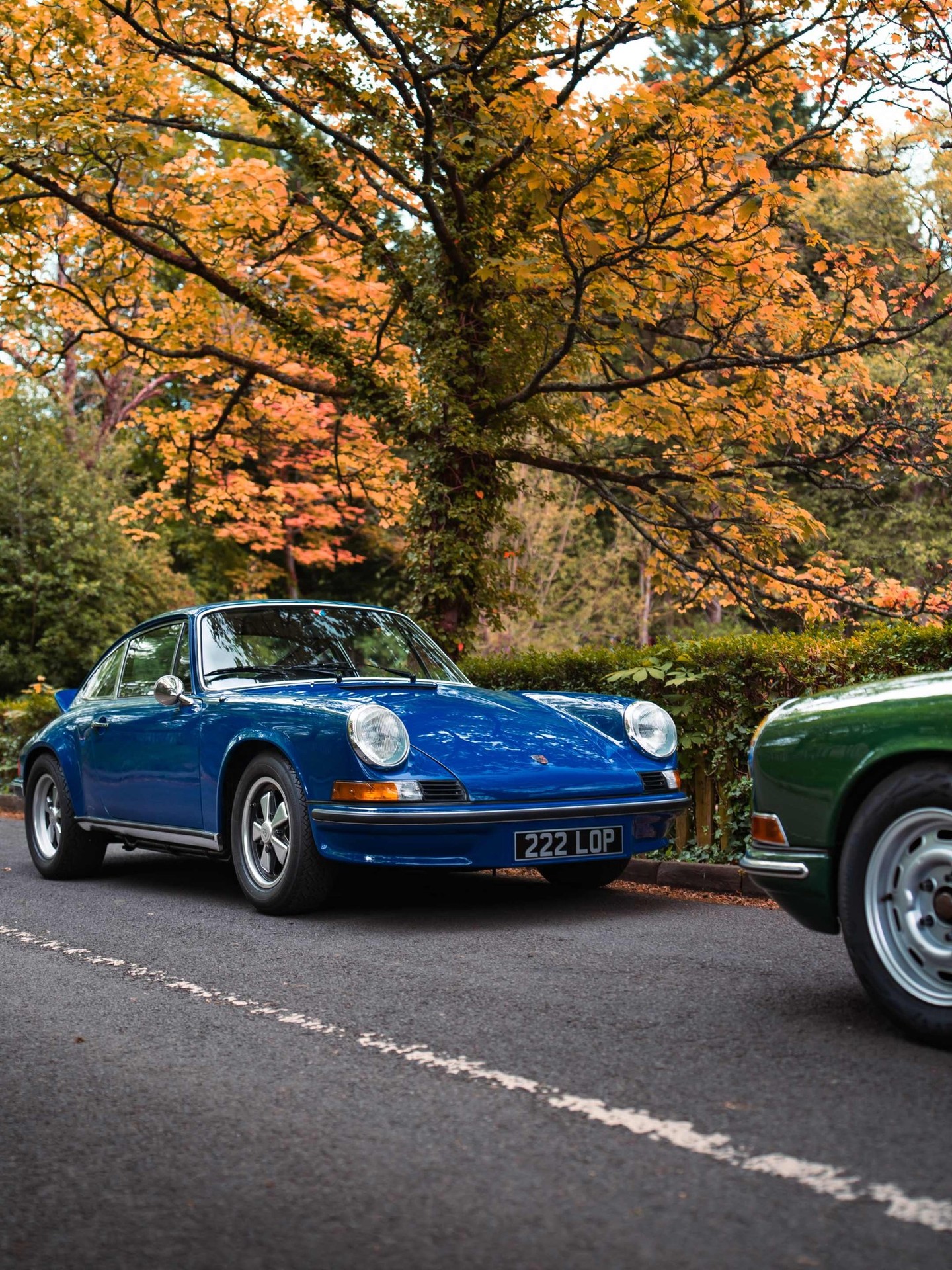 Porsche sports car captured in profile, displaying aerodynamic perfection and muscular stance