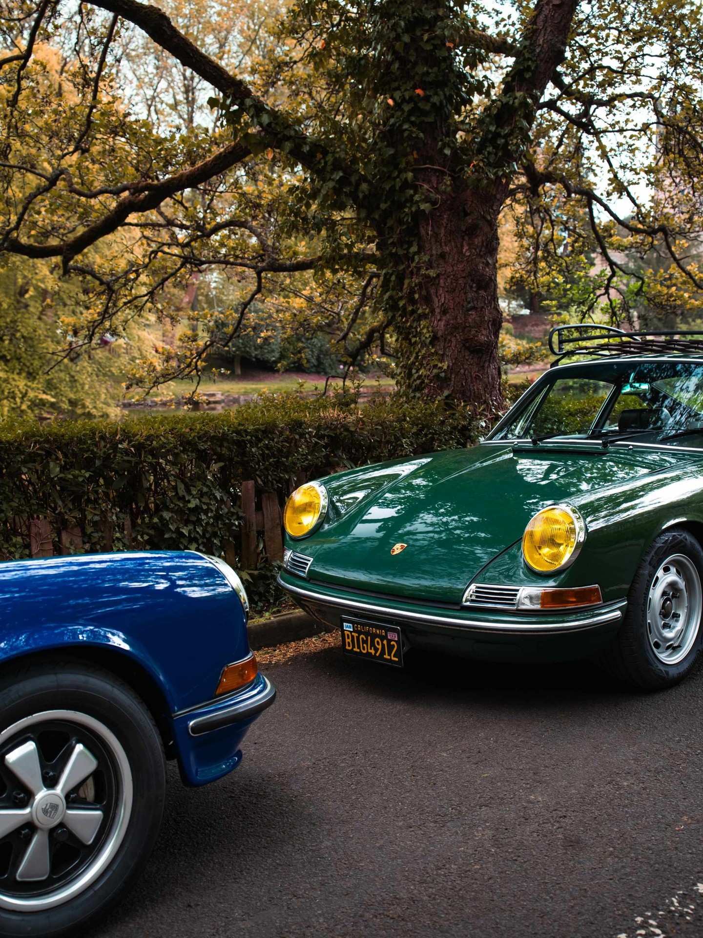 Multiple Porsche models gathered together, demonstrating the breadth and excellence of the marque's automotive lineup