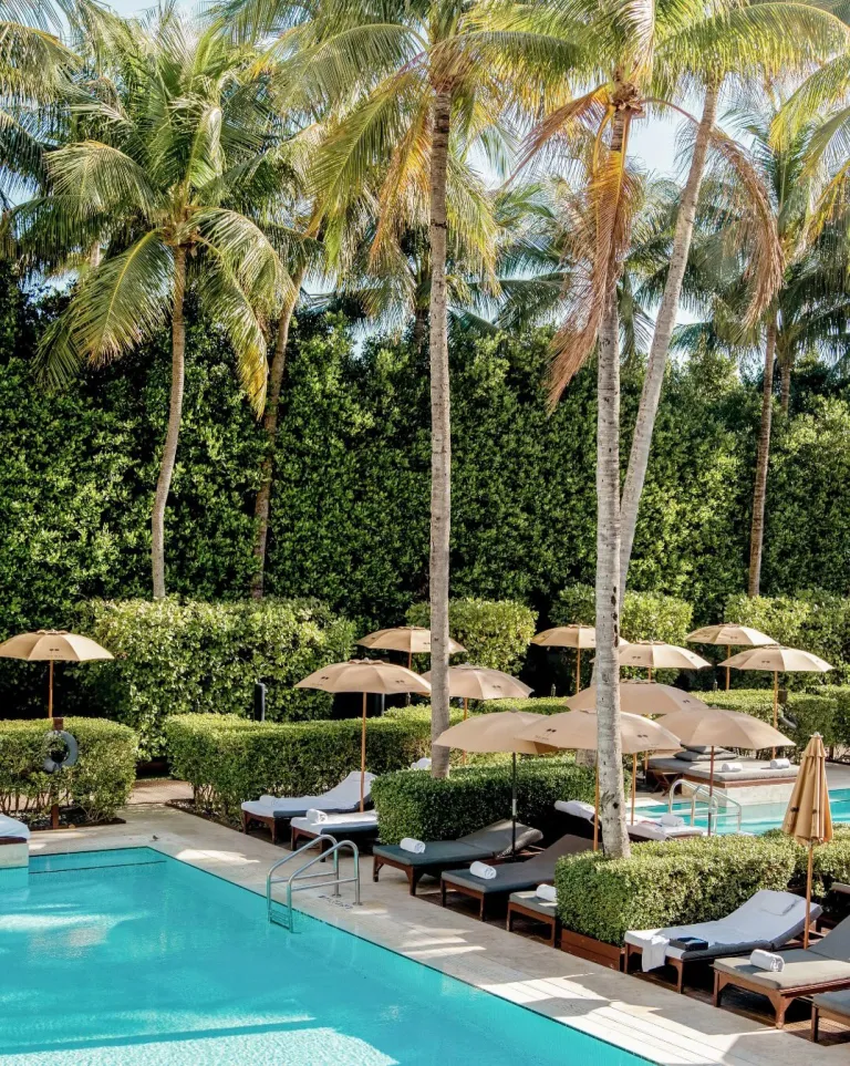Serene poolside lounge areas at The Setai Miami Beach framed by tall palm trees