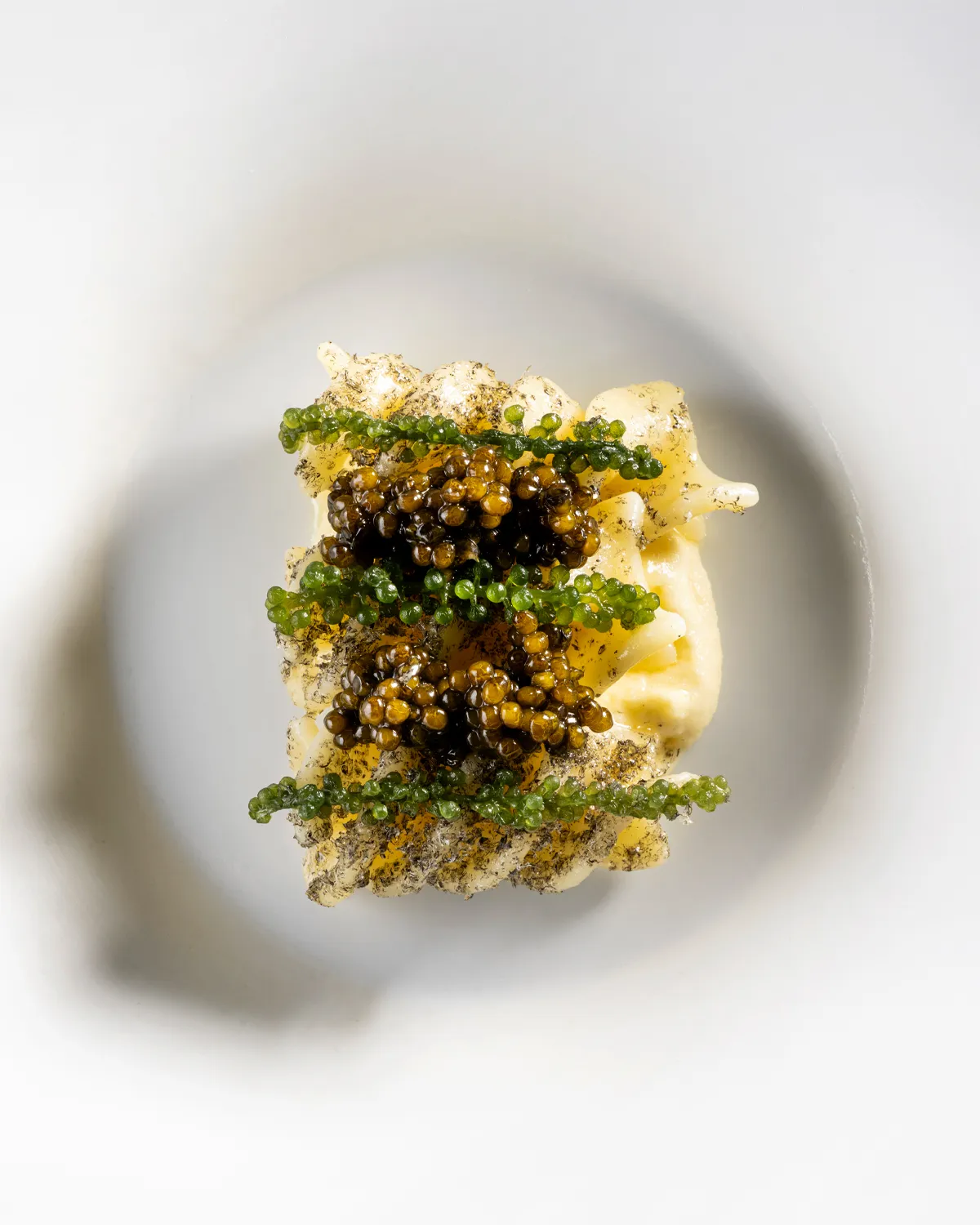 Verso Ristorante's Fusilloni con Comté, Whisky e Caviale, featuring creamy Comté sauce, caviar, sea grapes and peated whisky mist on artisan pasta